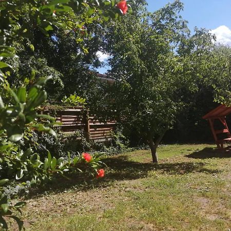 فندق Rakos-Patak Family House بودابست المظهر الخارجي الصورة