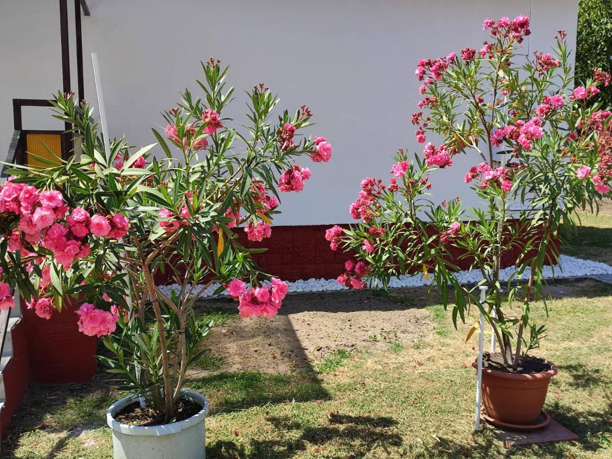 فندق Rakos-Patak Family House بودابست المظهر الخارجي الصورة