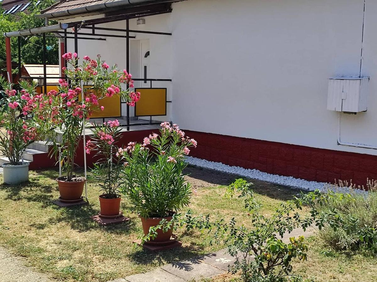 فندق Rakos-Patak Family House بودابست المظهر الخارجي الصورة