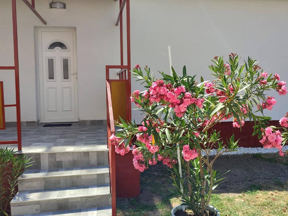فندق Rakos-Patak Family House بودابست المظهر الخارجي الصورة