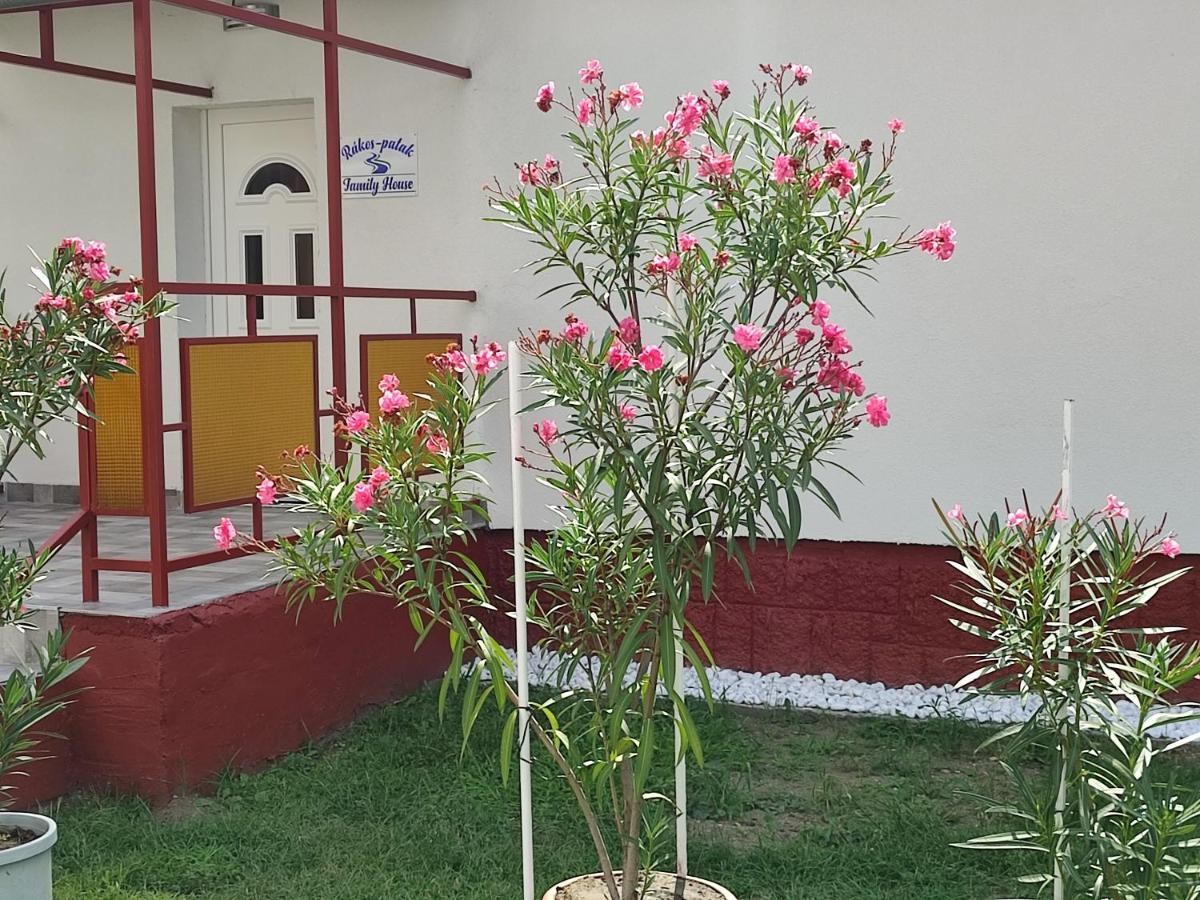 فندق Rakos-Patak Family House بودابست المظهر الخارجي الصورة